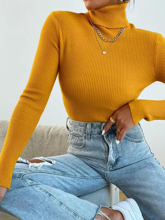 Nicolette Slim Fit Ribbed Knit Turtleneck Long Sleeve Sweater - Black