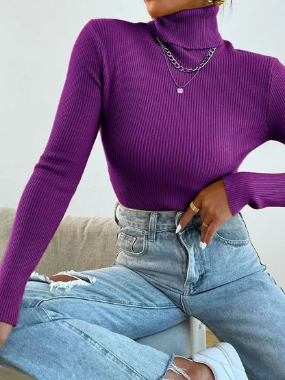 Nicolette Slim Fit Ribbed Knit Turtleneck Long Sleeve Sweater - Grey