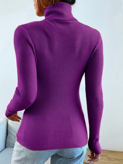 Nicolette Slim Fit Ribbed Knit Turtleneck Long Sleeve Sweater - Camel