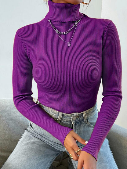 Nicolette Slim Fit Ribbed Knit Turtleneck Long Sleeve Sweater - Mint Green