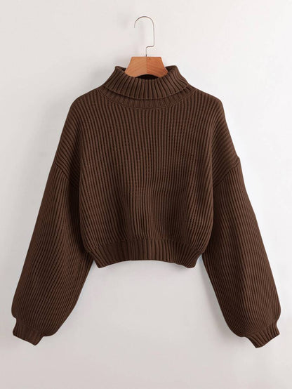 Louisa Ribbed Knit Cropped Turtleneck Pullover Sweater - Coffee Brown