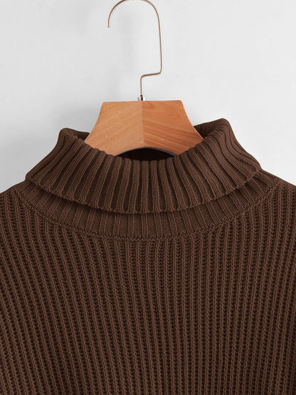 Louisa Ribbed Knit Cropped Turtleneck Pullover Sweater - Coffee Brown