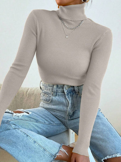 Nicolette Slim Fit Ribbed Knit Turtleneck Long Sleeve Sweater - Grey