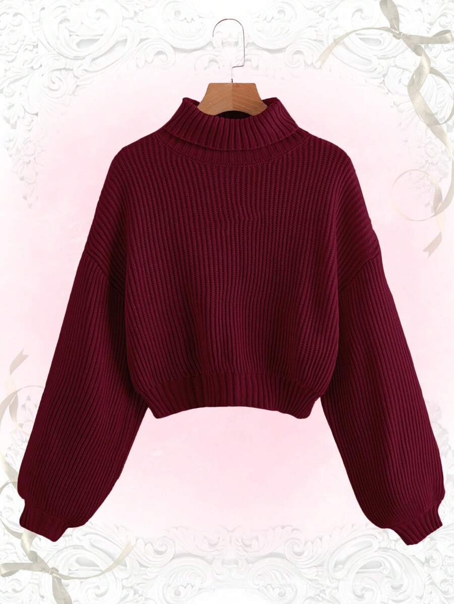 Louisa Ribbed Knit Cropped Turtleneck Pullover Sweater - Burgundy