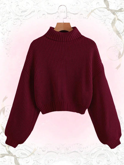 Louisa Ribbed Knit Cropped Turtleneck Pullover Sweater - Burgundy