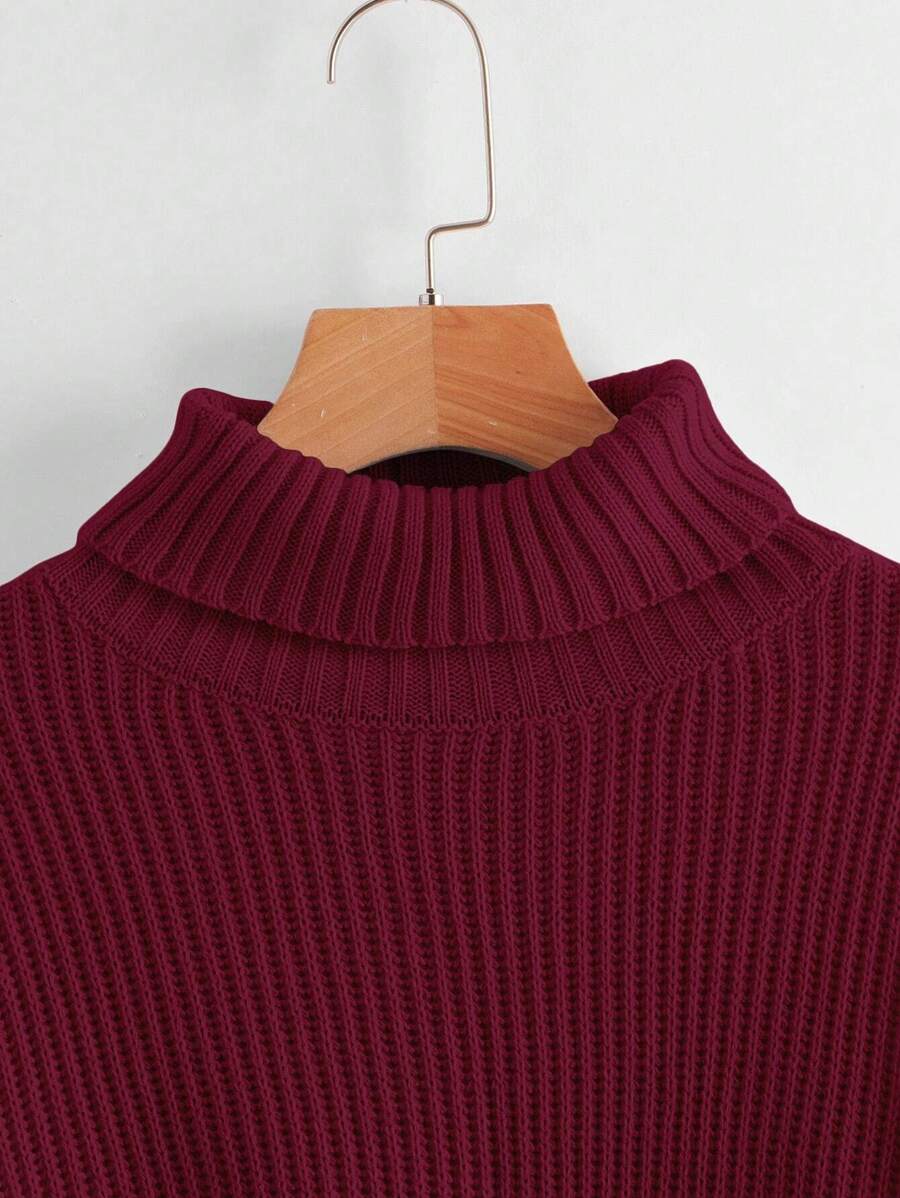 Louisa Ribbed Knit Cropped Turtleneck Pullover Sweater - Burgundy