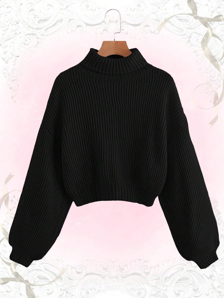 Louisa Ribbed Knit Cropped Turtleneck Pullover Sweater - Black