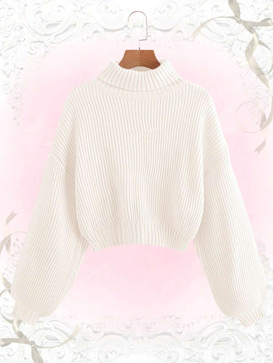 Louisa Ribbed Knit Cropped Turtleneck Pullover Sweater - White