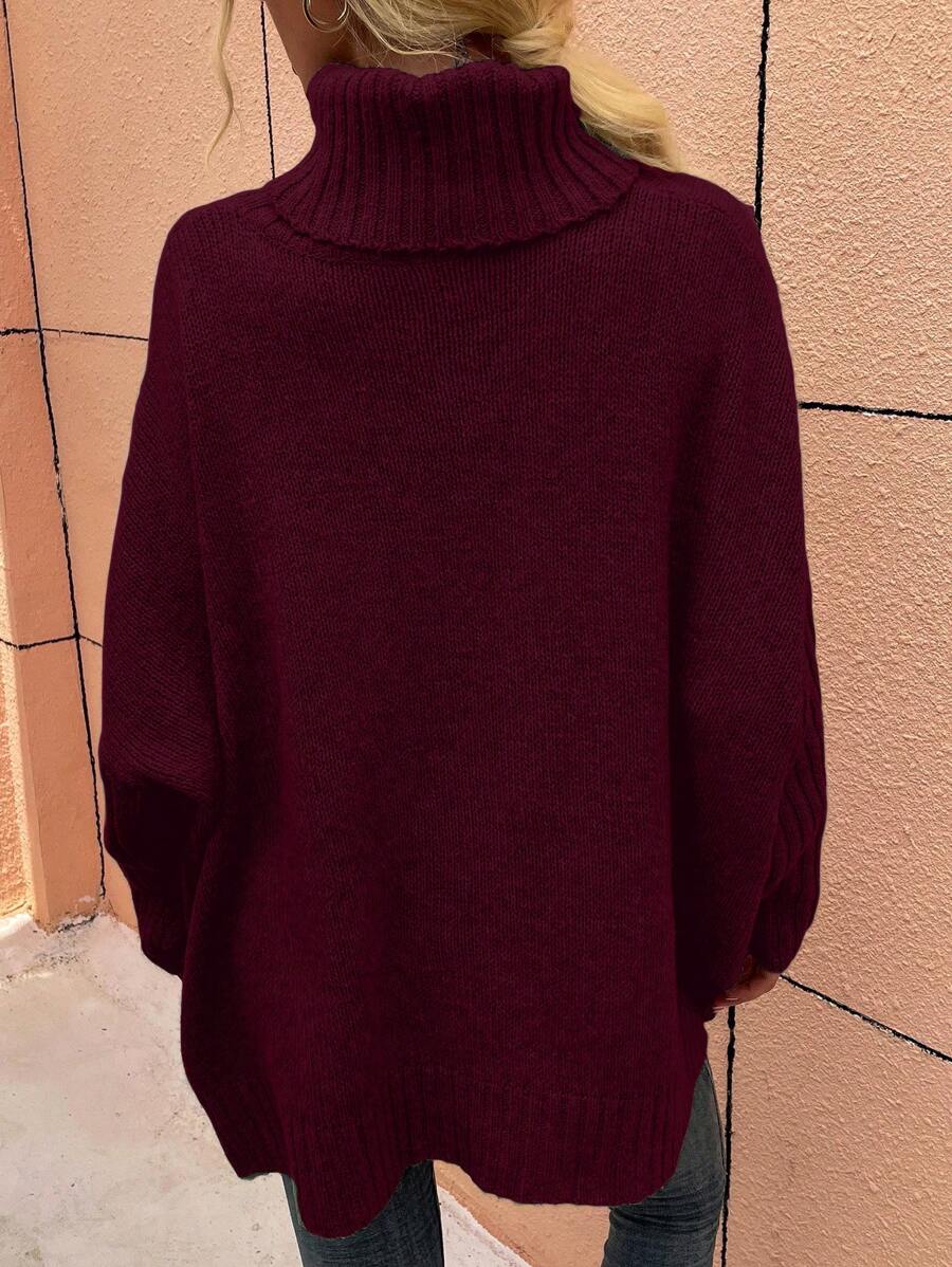 Alesund Oversized Turtleneck Batwing Sleeve Sweater