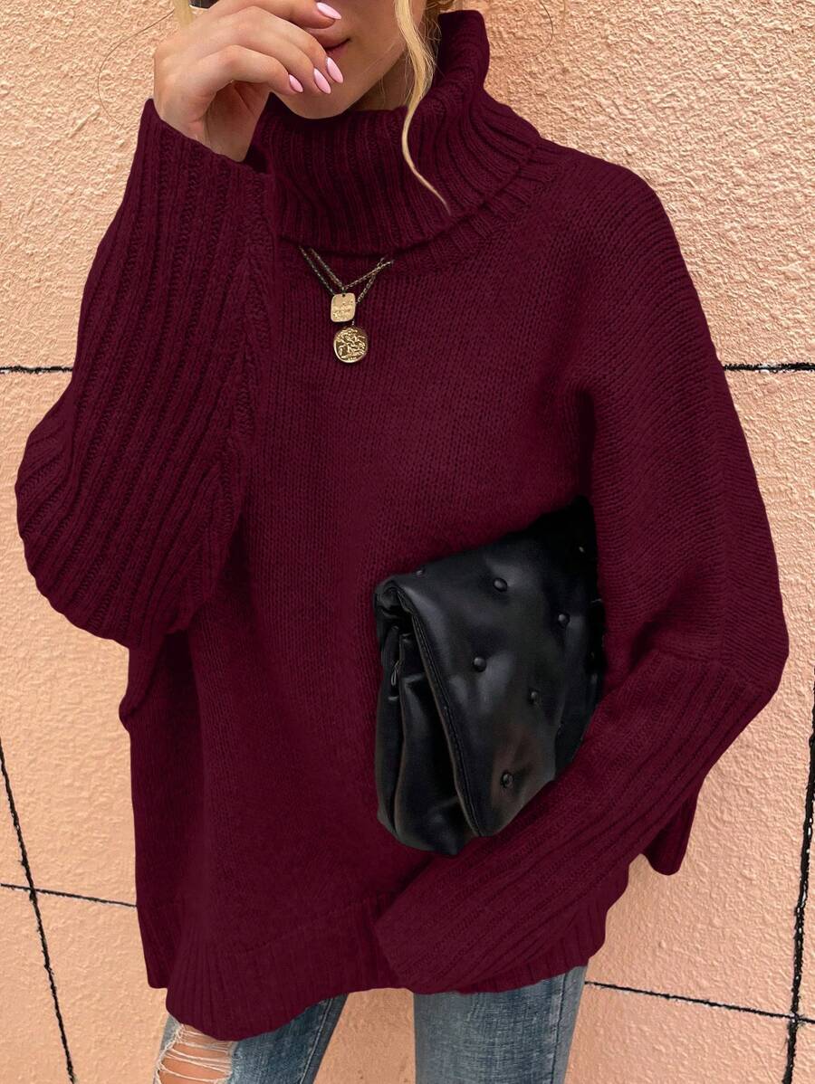 Alesund Oversized Turtleneck Batwing Sleeve Sweater