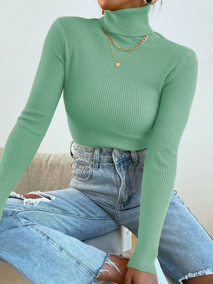Nicolette Slim Fit Ribbed Knit Turtleneck Long Sleeve Sweater - Grey