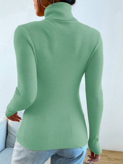 Nicolette Slim Fit Ribbed Knit Turtleneck Long Sleeve Sweater - Camel