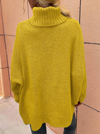 Alesund Oversized Turtleneck Batwing Sleeve Sweater
