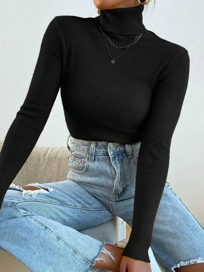 Nicolette Slim Fit Ribbed Knit Turtleneck Long Sleeve Sweater - Black