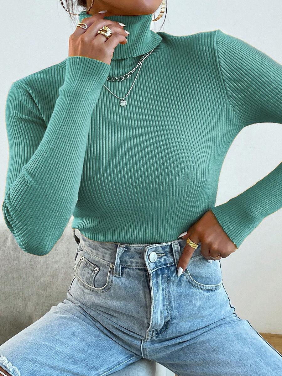 Nicolette Slim Fit Ribbed Knit Turtleneck Long Sleeve Sweater - White