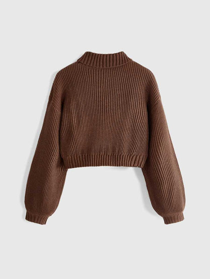 Louisa Ribbed Knit Cropped Turtleneck Pullover Sweater - Brown Embroidered Patch